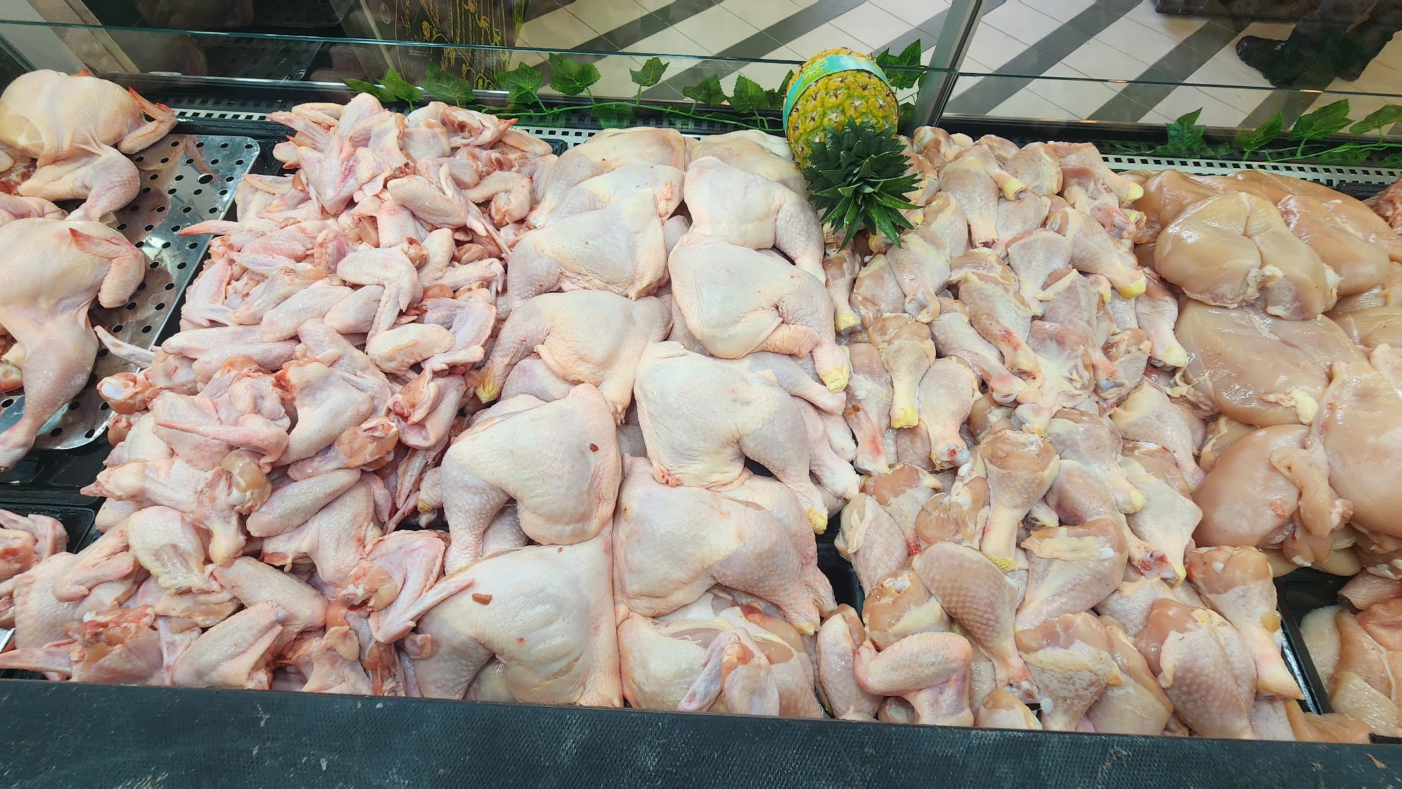 WhatsApp Image 2023-01-25 at 7.03.19 PM.jpeg